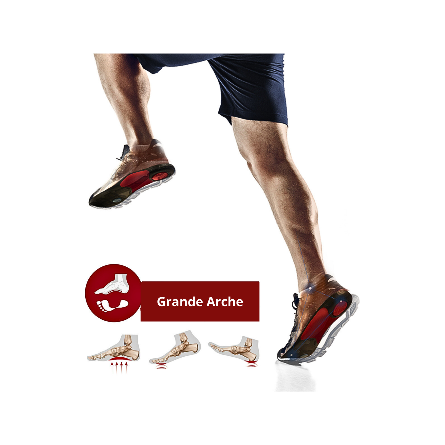 THREE ARCH SOLES: HIGH ARCH